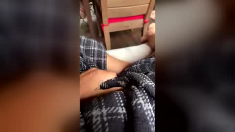 Snapshot of wcwilson26925 chatting on June 15, 12:07 pm Zippy online show from June 15, 12:07 pm