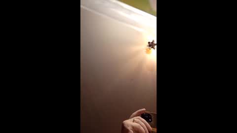 Snapshot of webiran chatting on March 2, 4:58 am webiran online show from March 2, 4:58 am