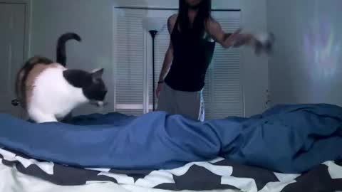 weedwacker43 online show from December 26, 7:03 am