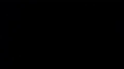 wellingtont online show from September 25, 3:43 am