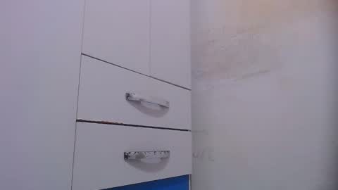 wellingtont online show from November 17, 1:55 am