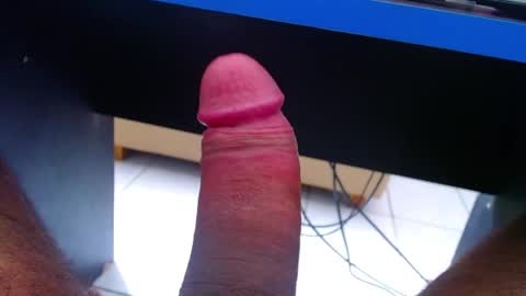 wellingtont online show from May 22, 8:42 am