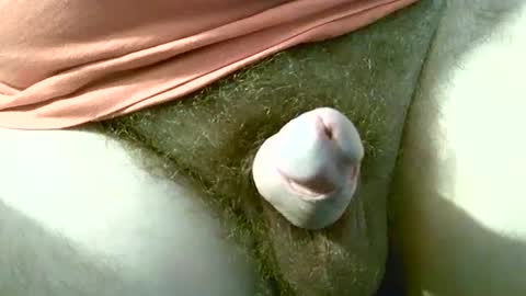 Snapshot of welshstuds chatting on September 30, 11:59 am welshstuds online show from September 30, 11:59 am