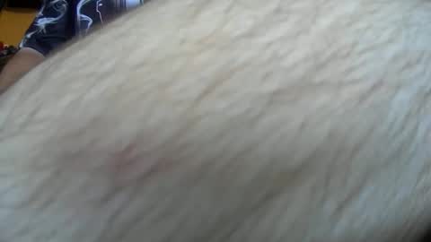werewolf549 online show from October 14, 7:53 am
