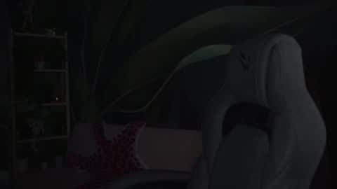 little girl who is always rightLisa online show from November 4, 12:54 am