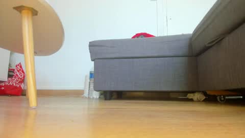 wet_pants2022 online show from June 17, 9:34 am