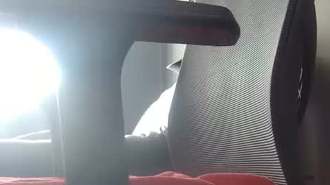 Snapshot of wetbigdickstream chatting on June 23, 11:41 am Wetbigdickstream online show from June 23, 11:41 am