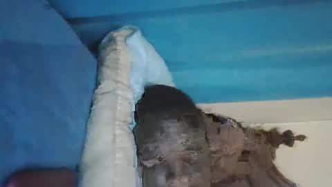 Snapshot of wetcock44 chatting on December 3, 3:41 am wetcock44 online show from December 3, 3:41 am