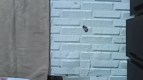 wettyhottie69 online show from February 3, 6:11 am