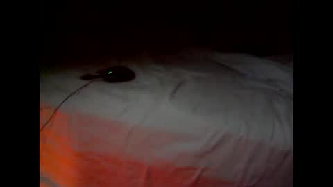 wgefwdtfvnlx online show from February 25, 7:34 pm