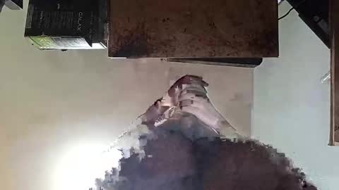 whatsexo online show from September 19, 7:10 am