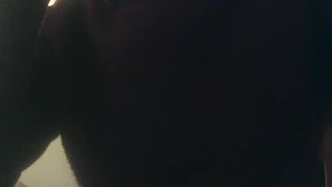 Snapshot of whiteduke81 chatting on January 3, 12:33 am Whiteduke online show from January 3, 12:33 am