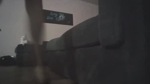 whosten0 online show from December 1, 4:17 am