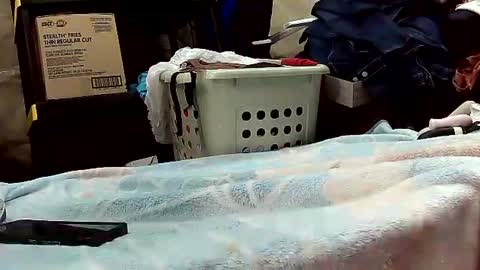 Snapshot of wife_phucker69 chatting on October 20, 12:16 pm Ryder Harder online show from October 20, 12:16 pm