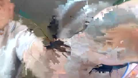 Snapshot of wikibitch chatting on October 10, 9:25 pm WikiBitch online show from October 10, 9:25 pm