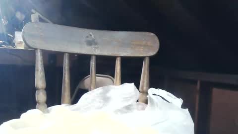 wildman6 online show from February 8, 8:53 pm