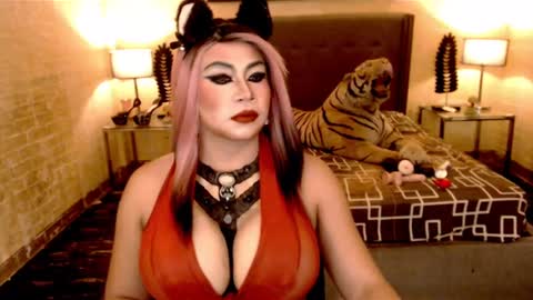 wildtransjhade online show from January 18, 6:32 pm