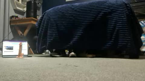 williambisexual online show from December 22, 12:40 am