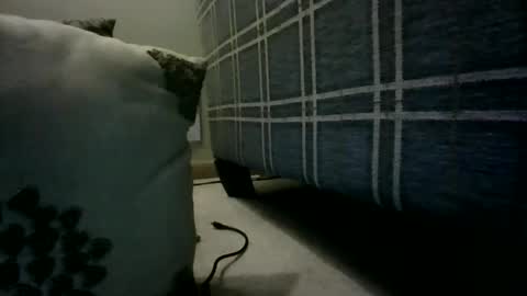 Willhedoher online show from March 4, 12:33 pm