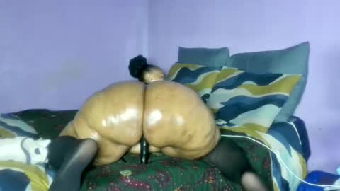 wilmaassylum online show from February 20, 6:59 am