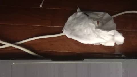 Sultan Blaze online show from February 19, 5:03 am