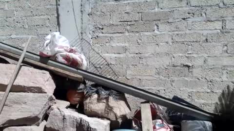 WolvyGalan online show from January 20, 7:04 pm