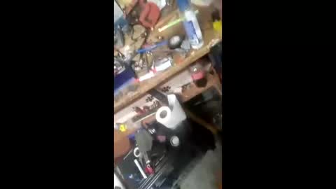 wood6957 online show from March 10, 1:38 pm