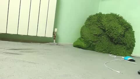 wow_devil online show from December 27, 6:57 am