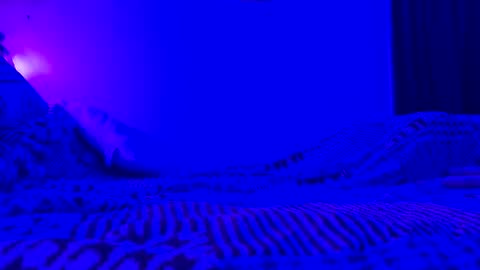 Snapshot of wowsers7 chatting on November 7, 8:03 am wowsers7 online show from November 7, 8:03 am