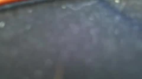 Snapshot of wrangleat0r chatting on January 28, 11:50 pm wrangleat0r online show from January 28, 11:50 pm