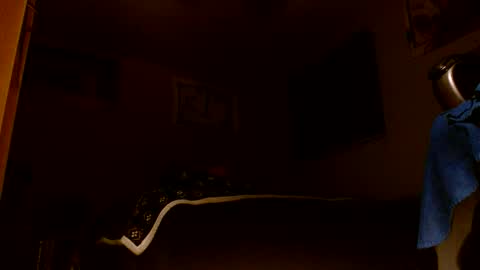 wvuguy1986 online show from March 8, 5:22 am