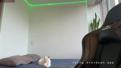 Snapshot of xavier_colleman chatting on May 7, 10:26 pm Xavier online show from May 7, 10:26 pm