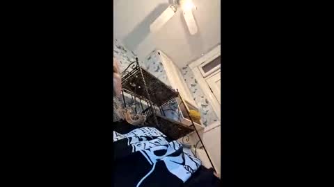 xbillisticx1 online show from June 2, 1:02 pm