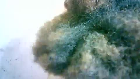 Snapshot of xenna610827 chatting on February 20, 6:50 am xenna610827 online show from February 20, 6:50 am