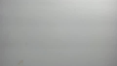 Xime  online show from February 21, 3:07 am