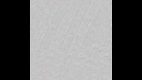 JSSD online show from March 8, 9:50 am