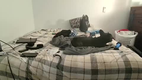 Snapshot of xxjasoneecx chatting on December 10, 6:33 am XxJasoncxX online show from December 10, 6:33 am