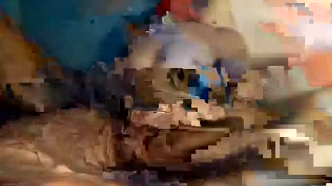 xxxdarknagician81 online show from September 21, 3:13 pm