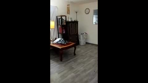 xxxlacylaurent544586 online show from May 28, 6:21 am