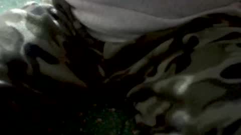 Yankee online show from February 1, 5:28 am