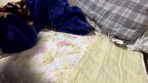 yasarsimo99154258 online show from February 23, 12:09 am