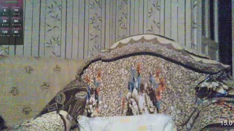 Snapshot of yatocka chatting on January 15, 7:48 am Sven online show from January 15, 7:48 am