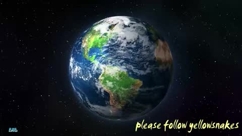 .     y e l l o w s n a k e s       . online show from February 1, 7:18 am