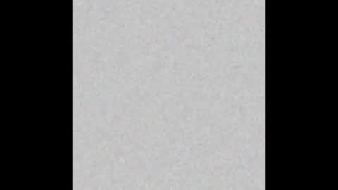 .     y e l l o w s n a k e s       . online show from February 2, 4:27 pm