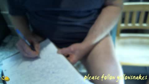 .     y e l l o w s n a k e s       . online show from March 25, 8:37 pm