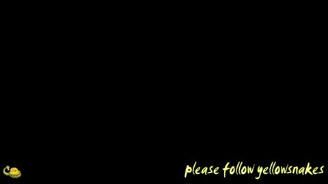 .     y e l l o w s n a k e s       . online show from April 12, 10:53 am