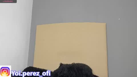 Snapshot of yoi_olimpo chatting on February 12, 12:22 pm Yoi Olimpo online show from February 12, 12:22 pm