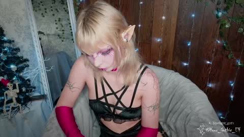Snapshot of your_gothic_elf chatting on December 26, 1:54 pm Stella online show from December 26, 1:54 pm
