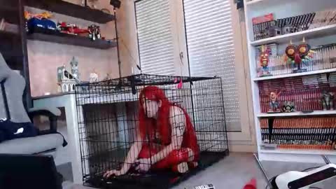 Snapshot of your_sissy_bitch chatting on February 14, 10:34 am Owned by Hell On Heels online show from February 14, 10:34 am