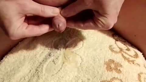 Snapshot of yourfans31gt1 chatting on February 25, 9:35 pm yourfans31gt1 online show from February 25, 9:35 pm